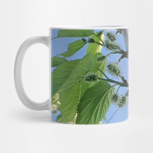 Green Mulberry tree, green leaves, nature plant photography Mug